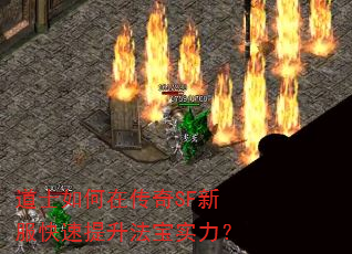 ��ʿ����ڴ���SF�·�������������ʵ����