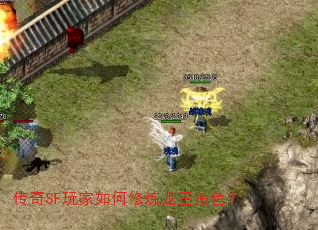 ����SF����������������ɫ��