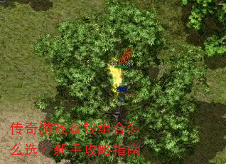 ������ϷʡǮ�����ôѡ�����ֹ���ָ��