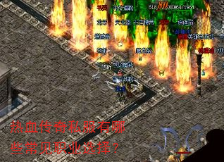 ��Ѫ����˽������Щ����ְҵѡ��