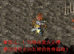 ��ʵ�ϣ�1.76��Ʒ�������������������������Ĵ����۷壿