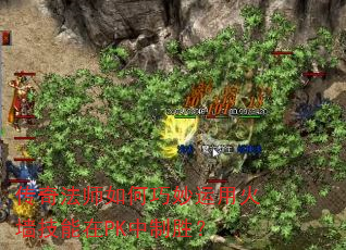 ���淨ʦ����������û�ǽ������PK����ʤ��