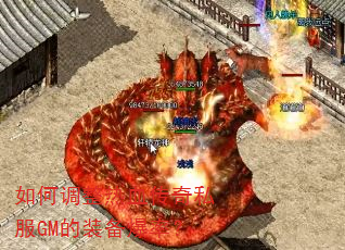 ��ε�����Ѫ����˽��GM��װ�����ʣ�