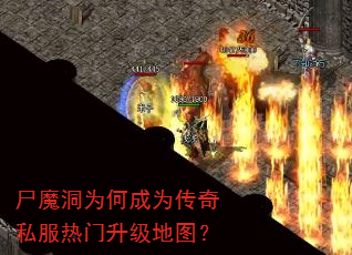 ʬħ��Ϊ�γ�Ϊ����˽������������ͼ��