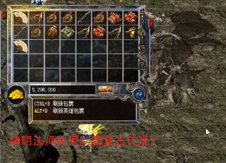������ʦ����ưԸ��Ŵ�˵��