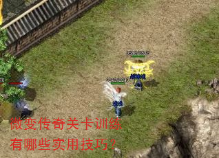΢�䴫��ؿ�ѵ������Щʵ�ü��ɣ�
