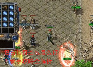 复古传奇圣域怎么打?新手攻略全解析 复古传奇圣域怎么打?新手攻略全解析