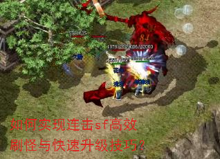 ���ʵ������sf��Чˢ��������������ɣ�