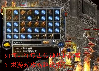 ���ǰ�����Ŵ�������Թ�������Ϸ����·��ָ����