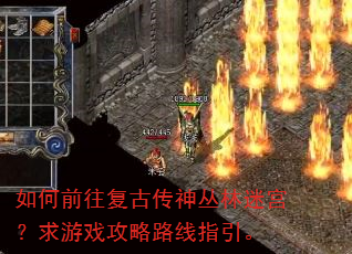 ���ǰ�����Ŵ�������Թ�������Ϸ����·��ָ����