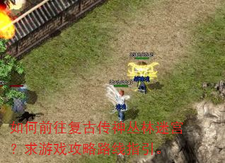 ���ǰ�����Ŵ�������Թ�������Ϸ����·��ָ����