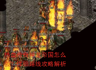 ��Ѫ���������۹���ôȥ����ϸ·�߹��Խ���