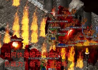 如何快速提升热血q传角色战力?新手必看攻略 如何快速提升热血q传角色战力?新手必看攻略