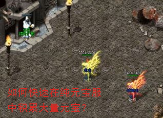 如何快速在纯元宝服中积累大量元宝? 如何快速在纯元宝服中积累大量元宝?