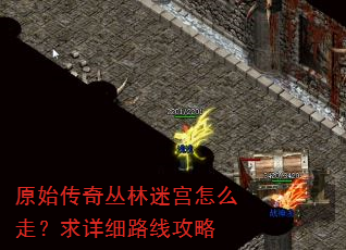 原始传奇丛林迷宫怎么走?求详细路线攻略 原始传奇丛林迷宫怎么走?求详细路线攻略
