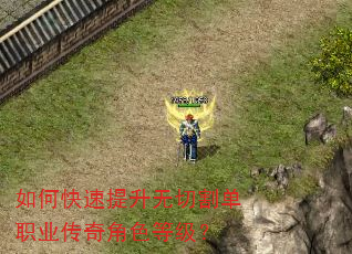 如何快速提升无切割单职业传奇角色等级? 如何快速提升无切割单职业传奇角色等级?
