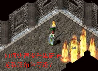 如何快速提升雄霸屠龙私服角色等级? 如何快速提升雄霸屠龙私服角色等级?