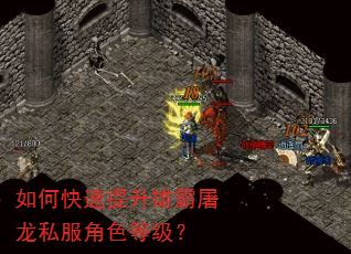 如何快速提升雄霸屠龙私服角色等级? 如何快速提升雄霸屠龙私服角色等级?