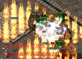 1.80����ϻ��汾��ְҵ������ѡ���������
