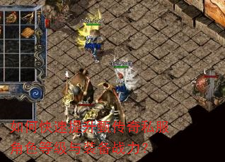 如何快速提升甄传奇私服角色等级与装备战力? 如何快速提升甄传奇私服角色等级与装备战力?