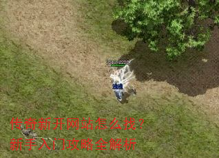 传奇新开网站怎么找?新手入门攻略全解析 传奇新开网站怎么找?新手入门攻略全解析