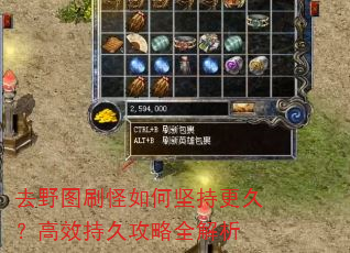 去野图刷怪如何坚持更久?高效持久攻略全解析 去野图刷怪如何坚持更久?高效持久攻略全解析