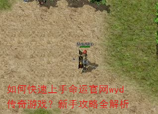 如何快速上手命运官网wyd传奇游戏?新手攻略全解析 如何快速上手命运官网wyd传奇游戏?新手攻略全解析