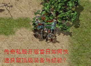 传奇私服开服首日如何快速获取顶级装备与经验? 传奇私服开服首日如何快速获取顶级装备与经验?