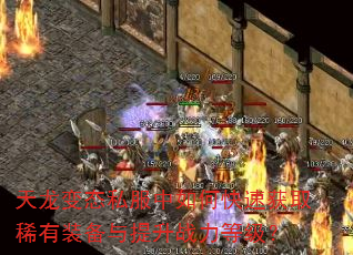 天龙变态私服中如何快速获取稀有装备与提升战力等级? 天龙变态私服中如何快速获取稀有装备与提升战力等级?