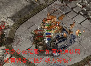 天龙变态私服中如何快速获取稀有装备与提升战力等级? 天龙变态私服中如何快速获取稀有装备与提升战力等级?
