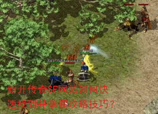 新开传奇SF网站如何快速找到并掌握攻略技巧? 新开传奇SF网站如何快速找到并掌握攻略技巧?
