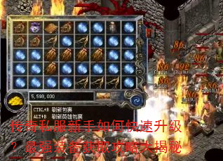 传奇私服新手如何快速升级?最强装备获取攻略大揭秘 传奇私服新手如何快速升级?最强装备获取攻略大揭秘