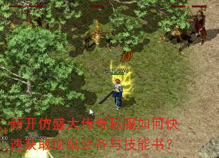 新开仿盛大传奇私服如何快速获取顶级装备与技能书? 新开仿盛大传奇私服如何快速获取顶级装备与技能书?
