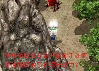 传奇单职业打金开服新手如何快速赚取金币并提升战力? 传奇单职业打金开服新手如何快速赚取金币并提升战力?