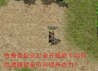 传奇单职业打金开服新手如何快速赚取金币并提升战力? 传奇单职业打金开服新手如何快速赚取金币并提升战力?