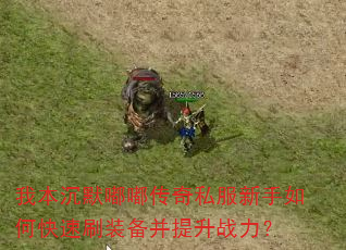 我本沉默嘟嘟传奇私服新手如何快速刷装备并提升战力? 我本沉默嘟嘟传奇私服新手如何快速刷装备并提升战力?