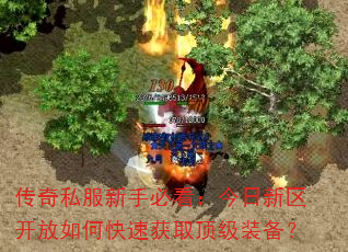 传奇私服新手必看:今日新区开放如何快速获取顶级装备? 传奇私服新手必看:今日新区开放如何快速获取顶级装备?