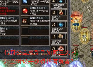 传奇公益服新手如何三天内升至满级并获得稀有装备? 传奇公益服新手如何三天内升至满级并获得稀有装备?
