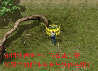 如何快速掌握1.76合击传奇私服中的职业组合与技能连招? 如何快速掌握1.76合击传奇私服中的职业组合与技能连招?