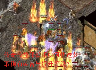 传奇公益服新手如何快速获取稀有装备与提升等级? 传奇公益服新手如何快速获取稀有装备与提升等级?