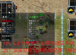 185飞龙传奇新手如何快速提升战力?装备获取与技能搭配技巧解析? 185飞龙传奇新手如何快速提升战力?装备获取与技能搭配技巧解析?