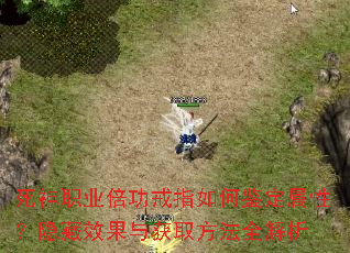 死神职业倍功戒指如何鉴定属性?隐藏效果与获取方法全解析 死神职业倍功戒指如何鉴定属性?隐藏效果与获取方法全解析