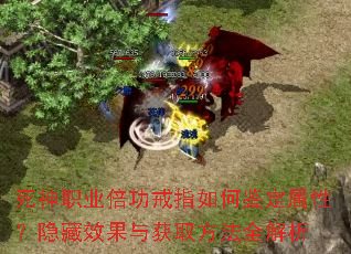 死神职业倍功戒指如何鉴定属性?隐藏效果与获取方法全解析 死神职业倍功戒指如何鉴定属性?隐藏效果与获取方法全解析