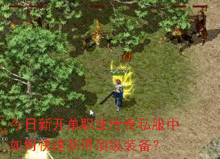 今日新开单职业传奇私服中如何快速获得顶级装备? 今日新开单职业传奇私服中如何快速获得顶级装备?