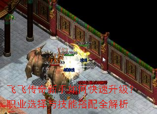 飞飞传奇新手如何快速升级?职业选择与技能搭配全解析 飞飞传奇新手如何快速升级?职业选择与技能搭配全解析