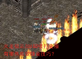 火龙极品加6回收打金服有哪些高效赚金技巧? 火龙极品加6回收打金服有哪些高效赚金技巧?