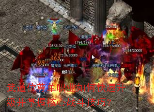 武道位尊单职业如何快速升级并掌握核心战斗技巧? 武道位尊单职业如何快速升级并掌握核心战斗技巧?