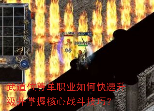 武道位尊单职业如何快速升级并掌握核心战斗技巧? 武道位尊单职业如何快速升级并掌握核心战斗技巧?