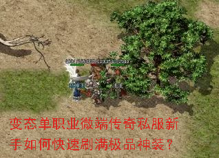 变态单职业微端传奇私服新手如何快速刷满极品神装? 变态单职业微端传奇私服新手如何快速刷满极品神装?