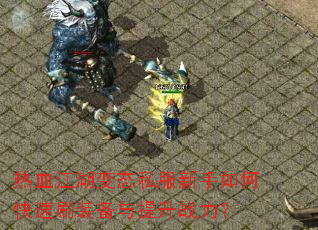 热血江湖变态私服新手如何快速刷装备与提升战力? 热血江湖变态私服新手如何快速刷装备与提升战力?